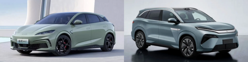 Modest gains and huge losses characterise China NEV February sales.
